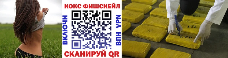 COCAIN Fish Scale  Галич 