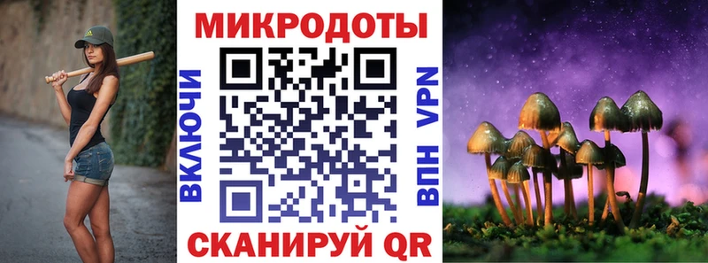 гидра онион  Галич  Псилоцибиновые грибы мицелий 