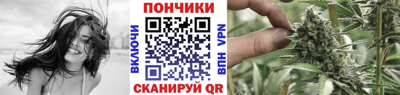 где можно купить   Галич  МАРИХУАНА сатива 